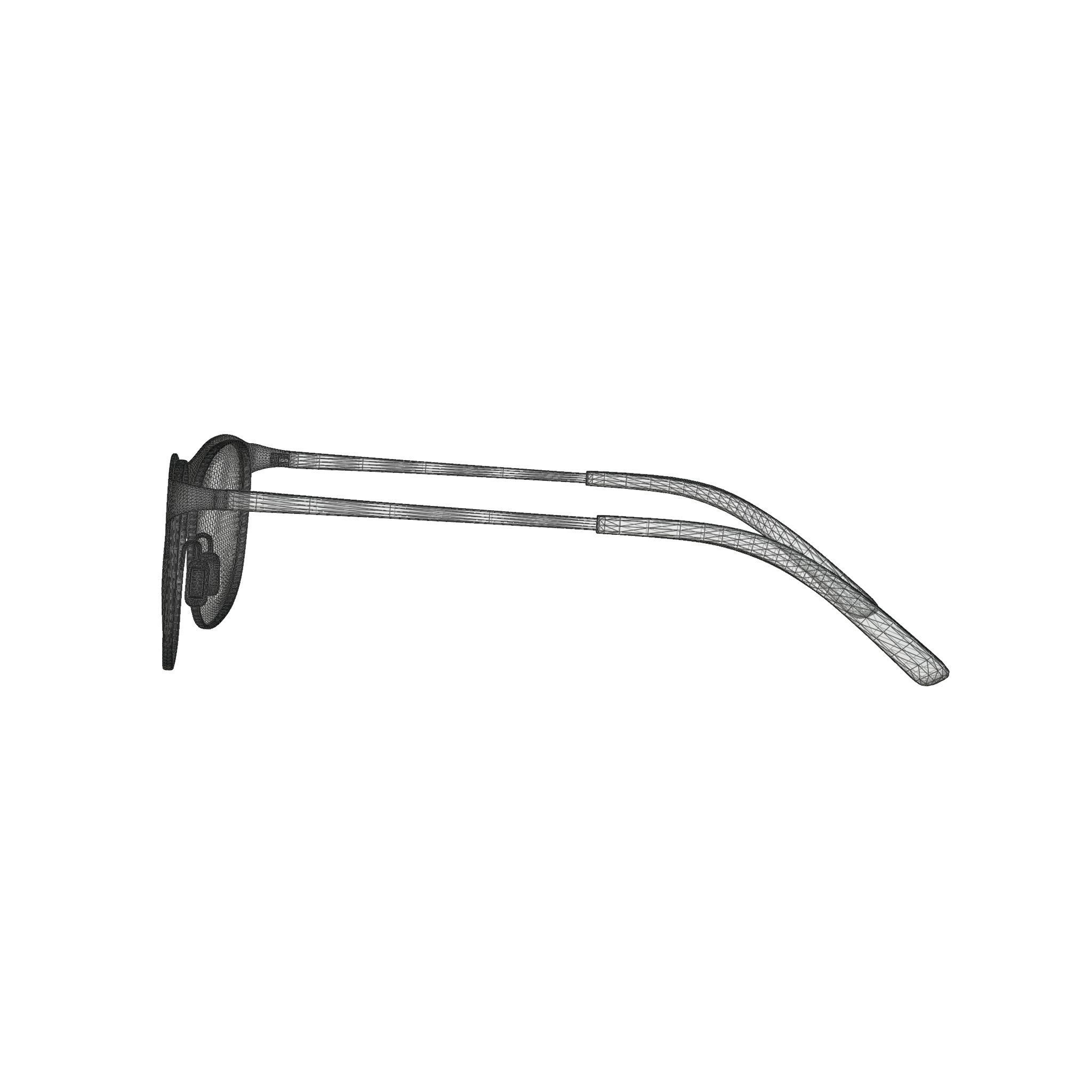 Eco - Maya Matte Burgundy Glasses Low-poly 3D model_8