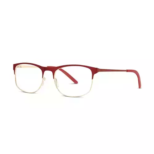 Eco - Maya Matte Burgundy Glasses Low-poly 3D model