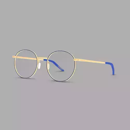 Eco - Naples Navy Gold Glasses Low-poly 3D model