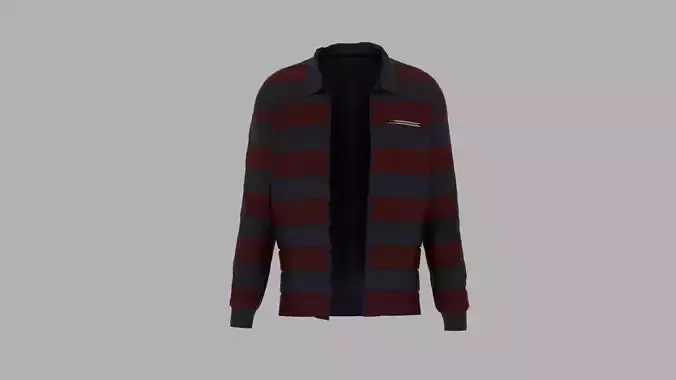 Jacket striped sweater person
