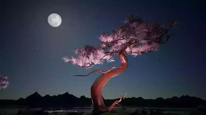 Cherry Blossom or sakura 3 Size Tree