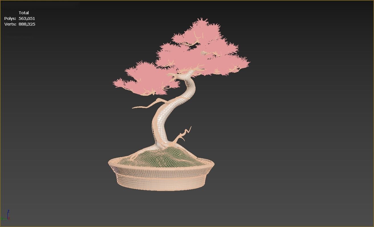Cherry Blossom or sakura 3 Size Tree 3D model | CGTrader