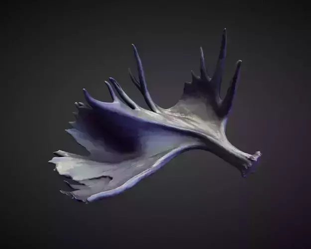 HORN20 high poly sculpt