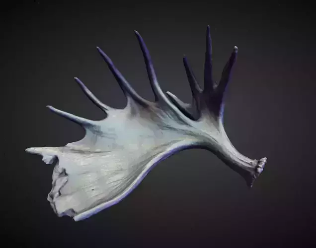 HORN24 high poly sculpt