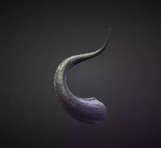 HORN26 high poly sculpt
