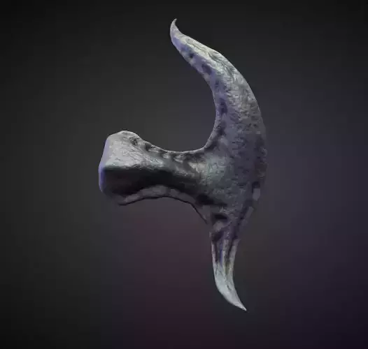 HORN29 high poly sculpt