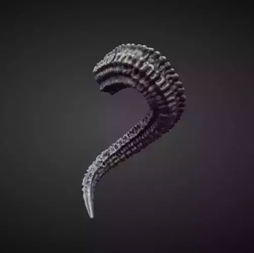 HORN35 high poly sculpt