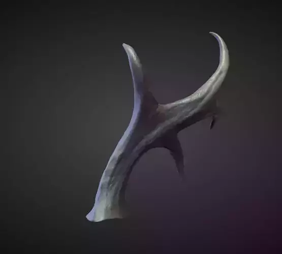 HORN36 high poly sculpt