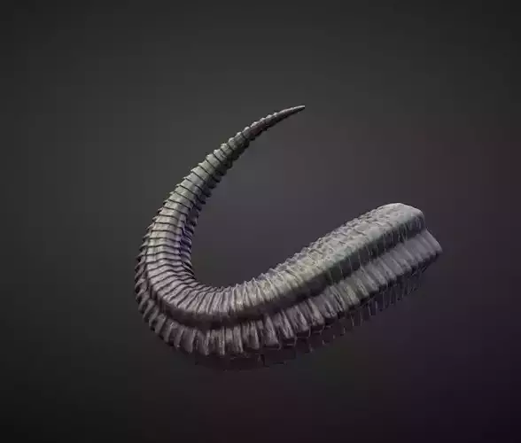 HORN38 high poly sculpt