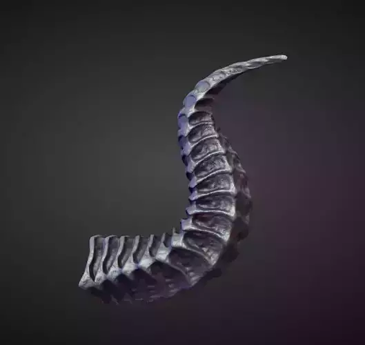 HORN41 high poly sculpt