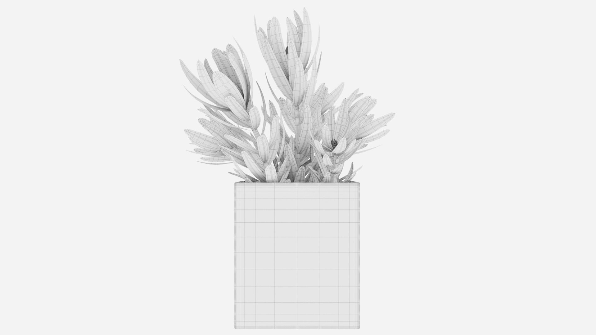 Plant 32 3D model_4