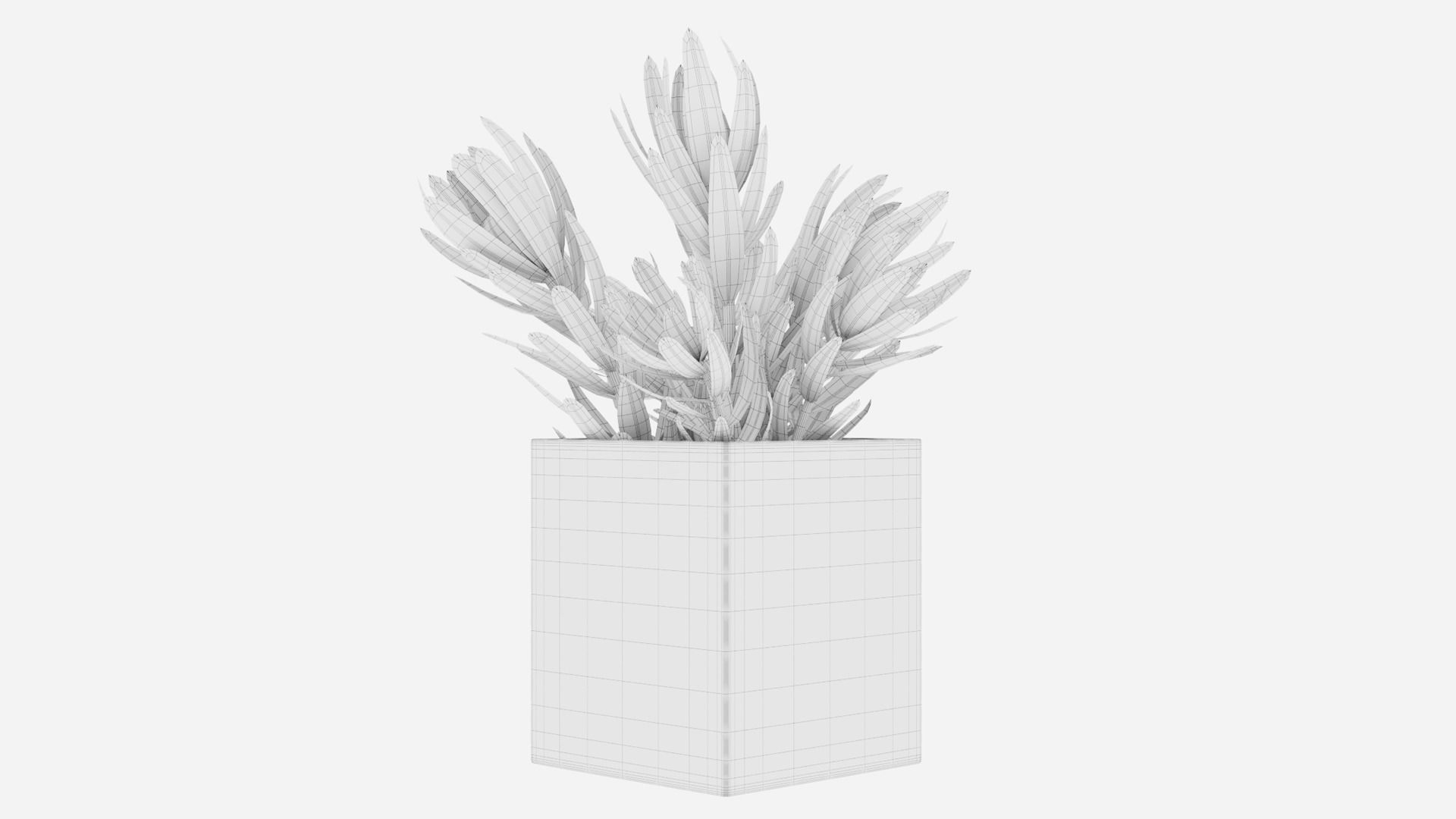 Plant 32 3D model_5