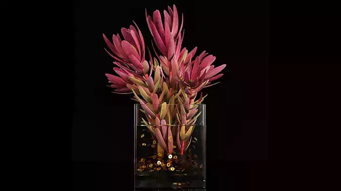 Plant 32 3D model