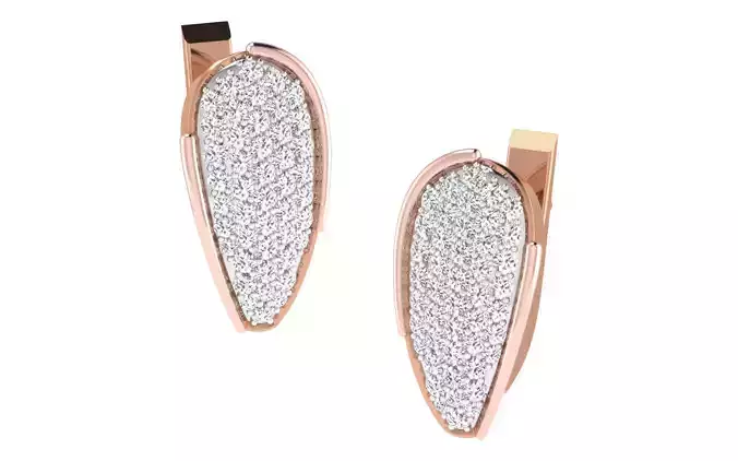 Women earrings 3dm render detail