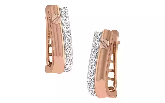 Women earrings 3dm render detail