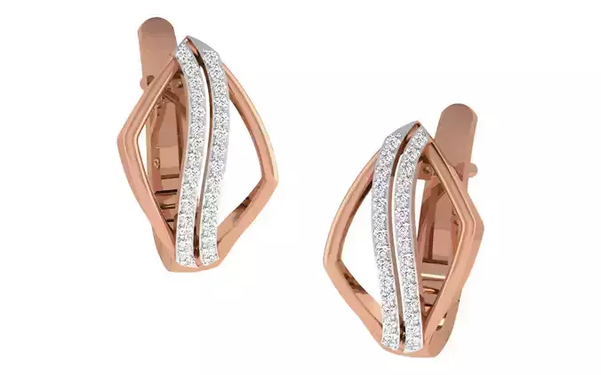 Women earrings 3dm render detail