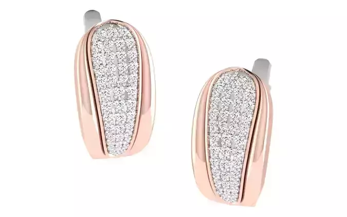 Women earrings 3dm render detail