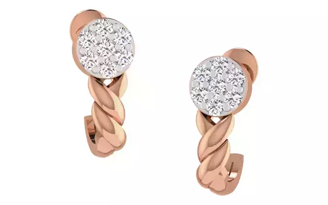 Women earrings 3dm render detail