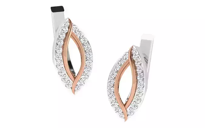 Women earrings 3dm render detail
