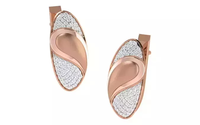 Women earrings 3dm render detail