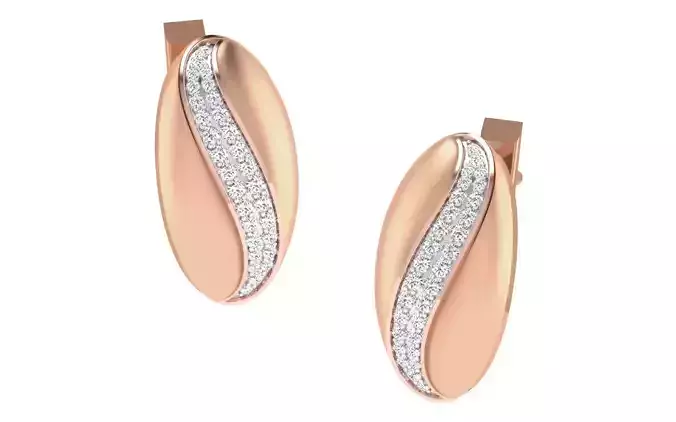 Women earrings 3dm render detail