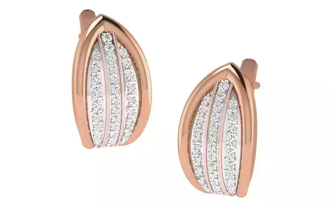 Women earrings 3dm render detail