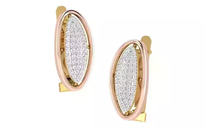 Women earrings 3dm render detail