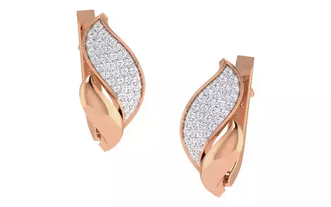 Women earrings 3dm render detail