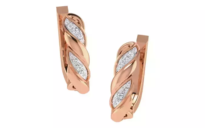 Women earrings 3dm render detail