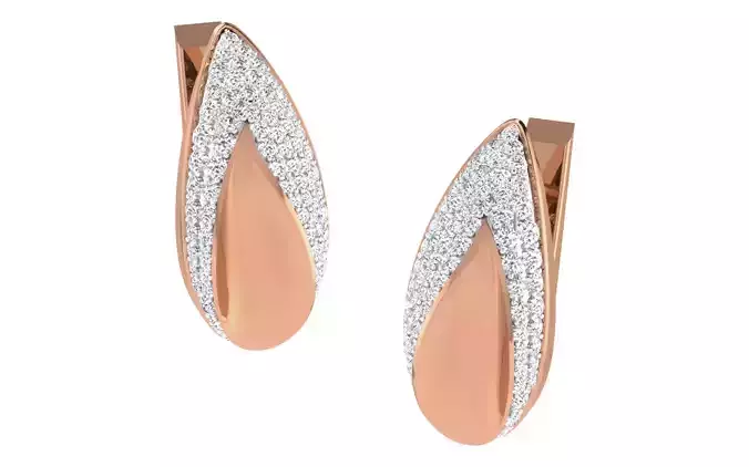 Women earrings 3dm render detail