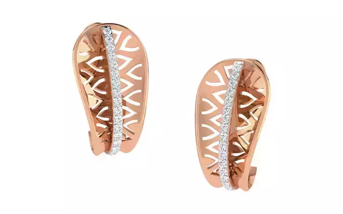 Women earrings 3dm render detail