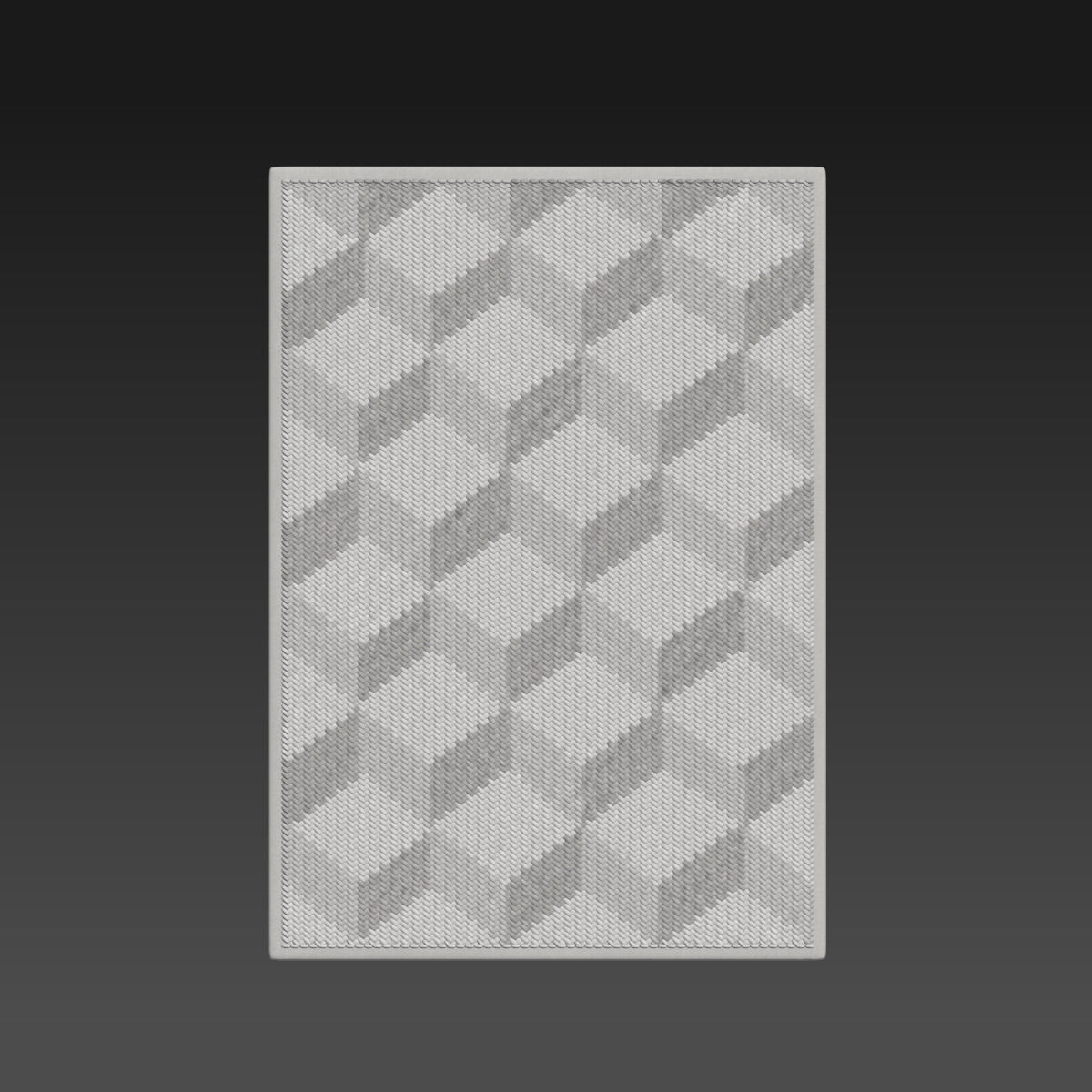 Carpet natural 3D model_3