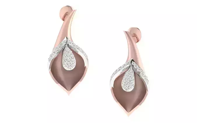 Women earrings 3dm render detail