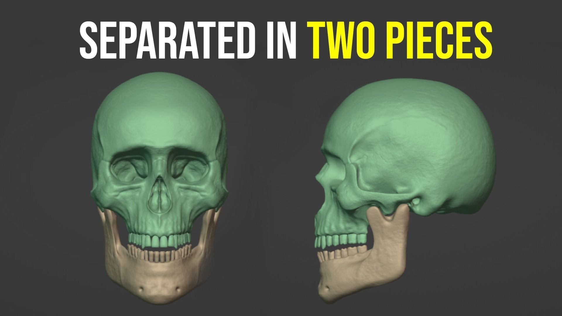 Human Skull for 3D Printing 3D print model_2
