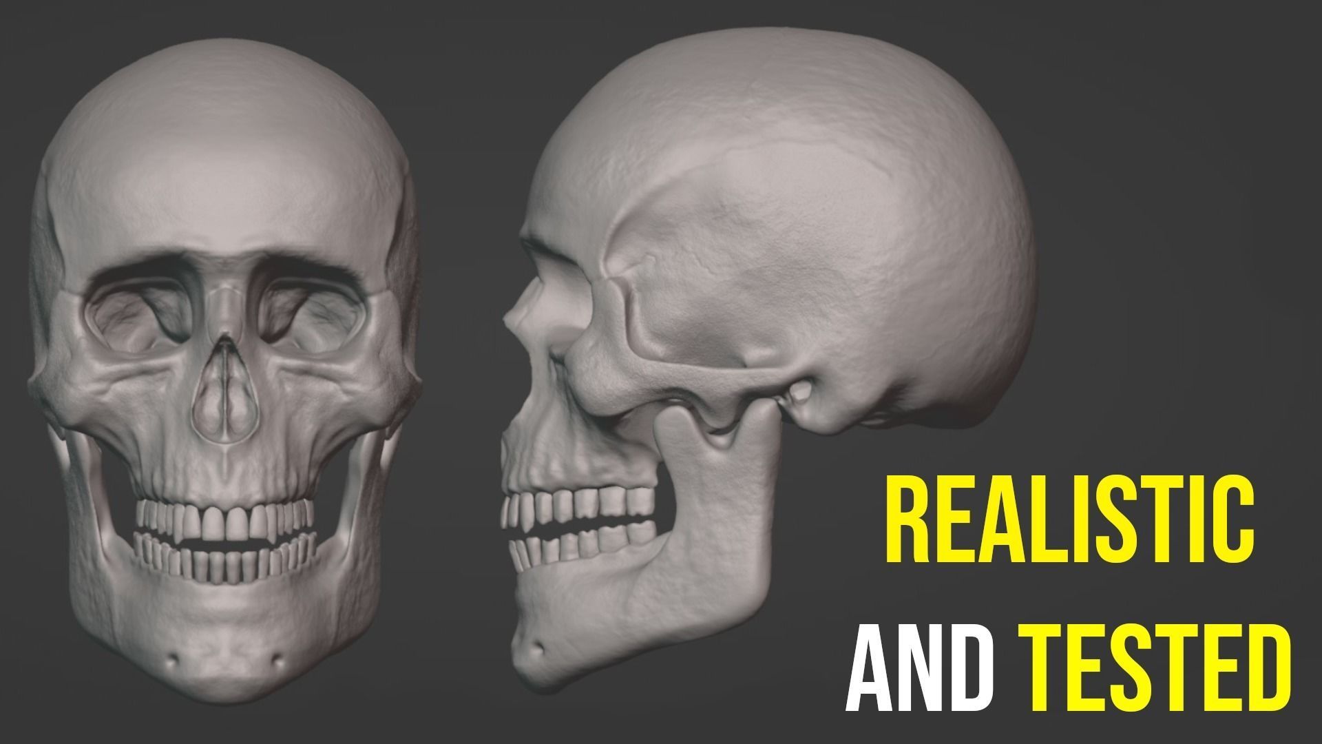 Human Skull for 3D Printing 3D print model_3