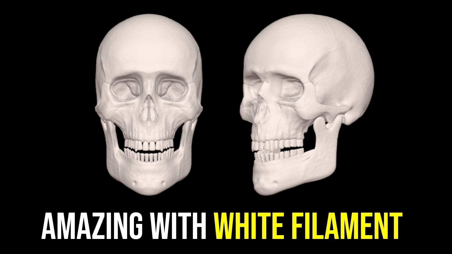 Human Skull for 3D Printing 3D print model_1