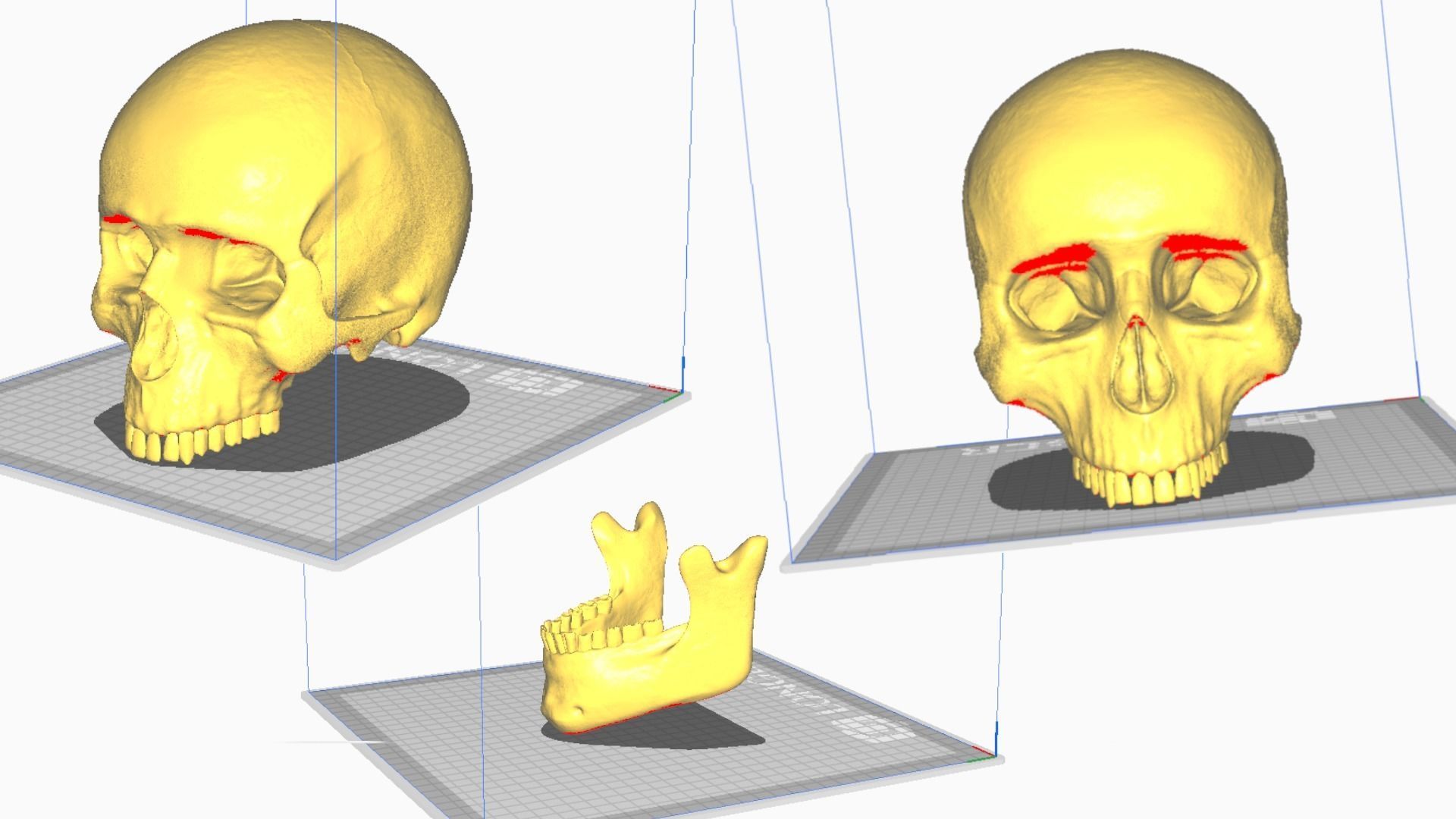 Human Skull for 3D Printing 3D print model_4