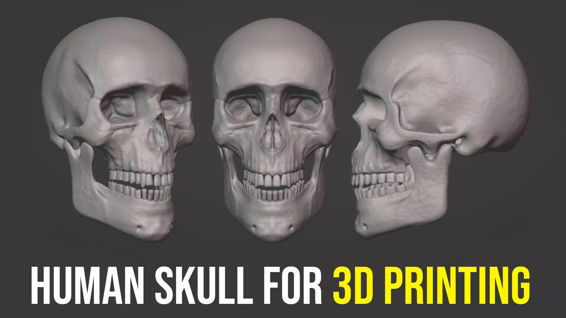 Human Skull for 3D Printing 3D print model_0