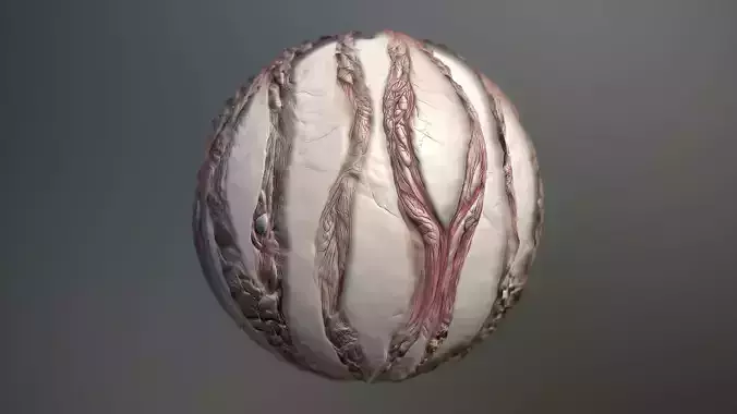 Material Skin Monster 57 Seamless PBR Texture Texture