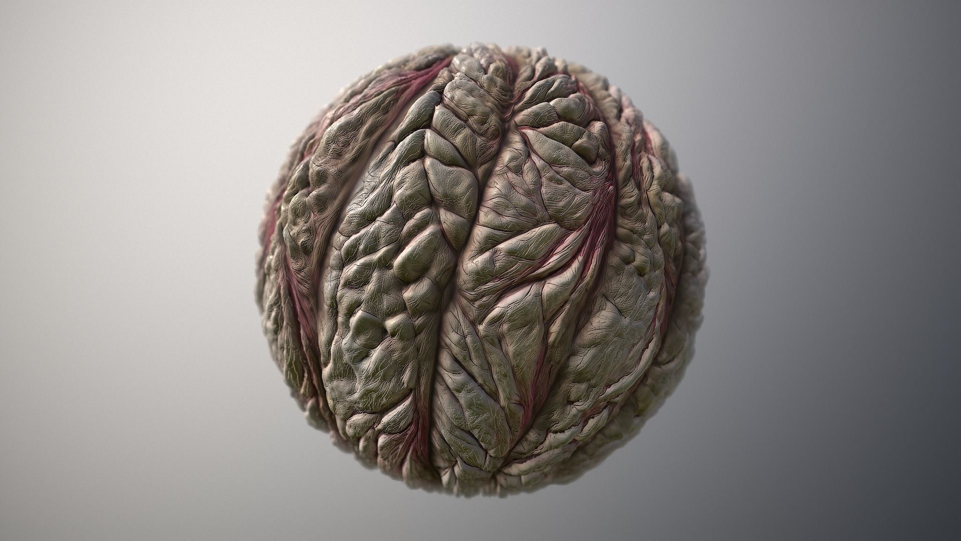 Material Skin Monster 56 Seamless PBR Texture Texture_6