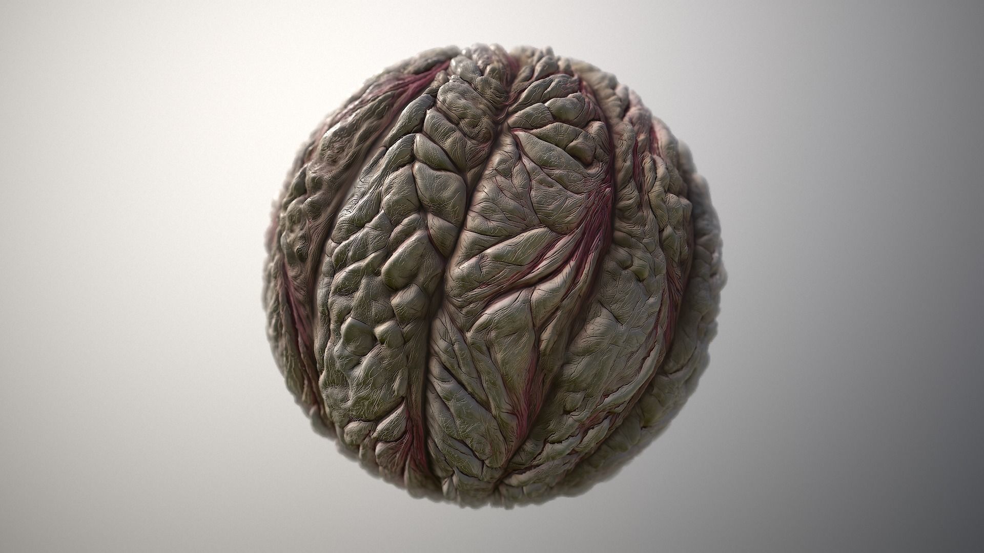 Material Skin Monster 56 Seamless PBR Texture Texture_5