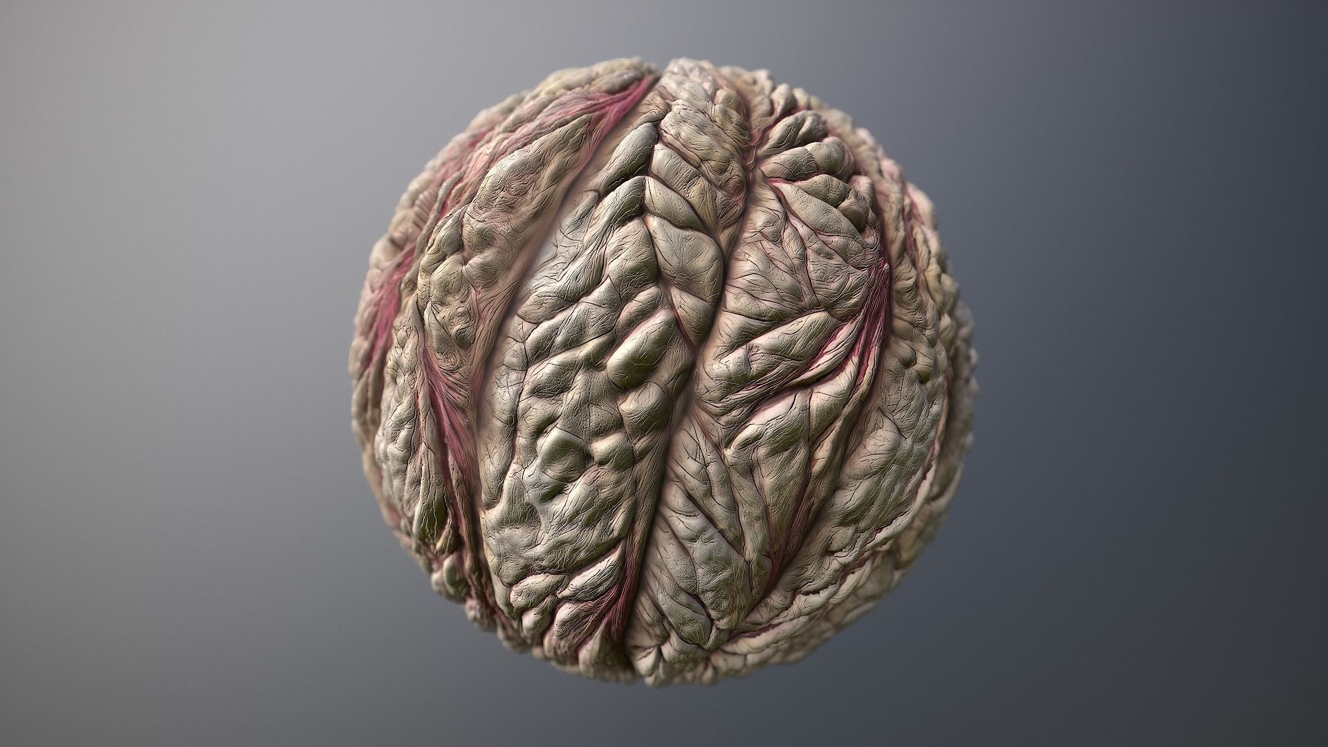 Material Skin Monster 56 Seamless PBR Texture Texture_8