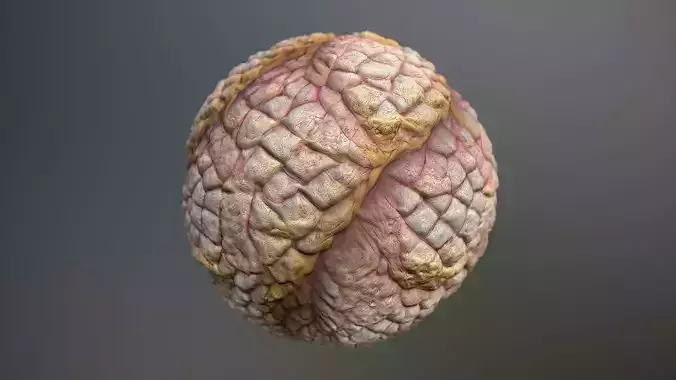 Material Skin Monster 52 Seamless PBR Texture Texture