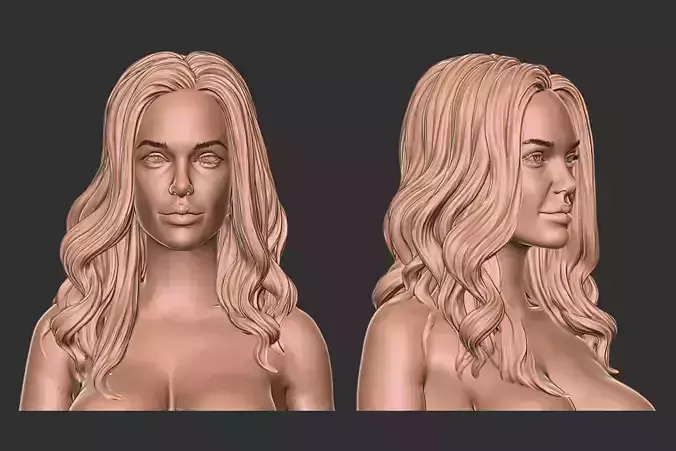 hair 41 3D print model