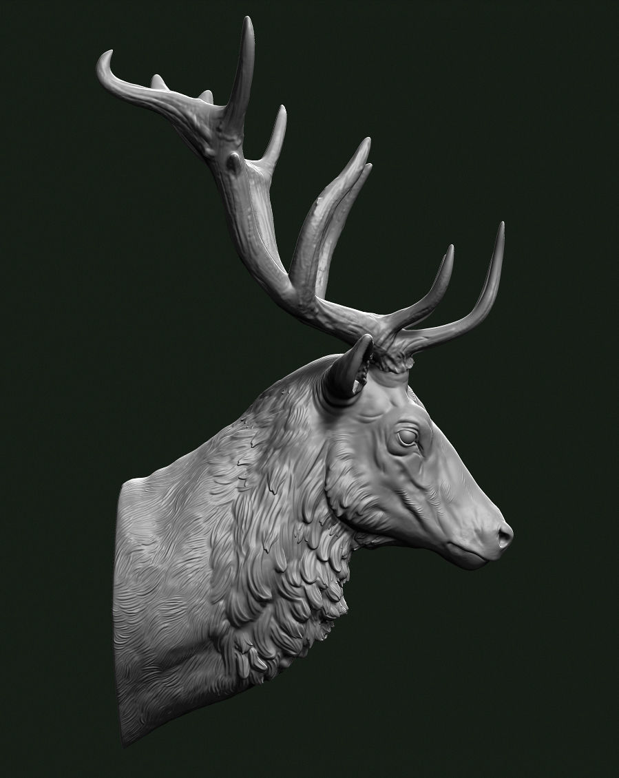 Stag head 3D print model_1