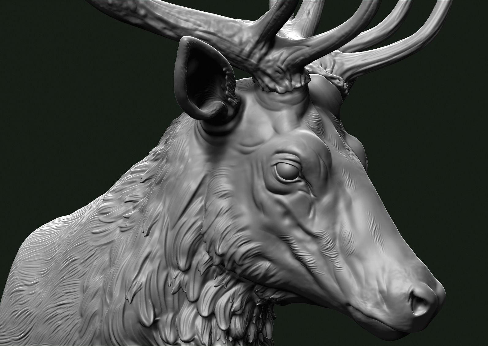 Stag head 3D print model_3