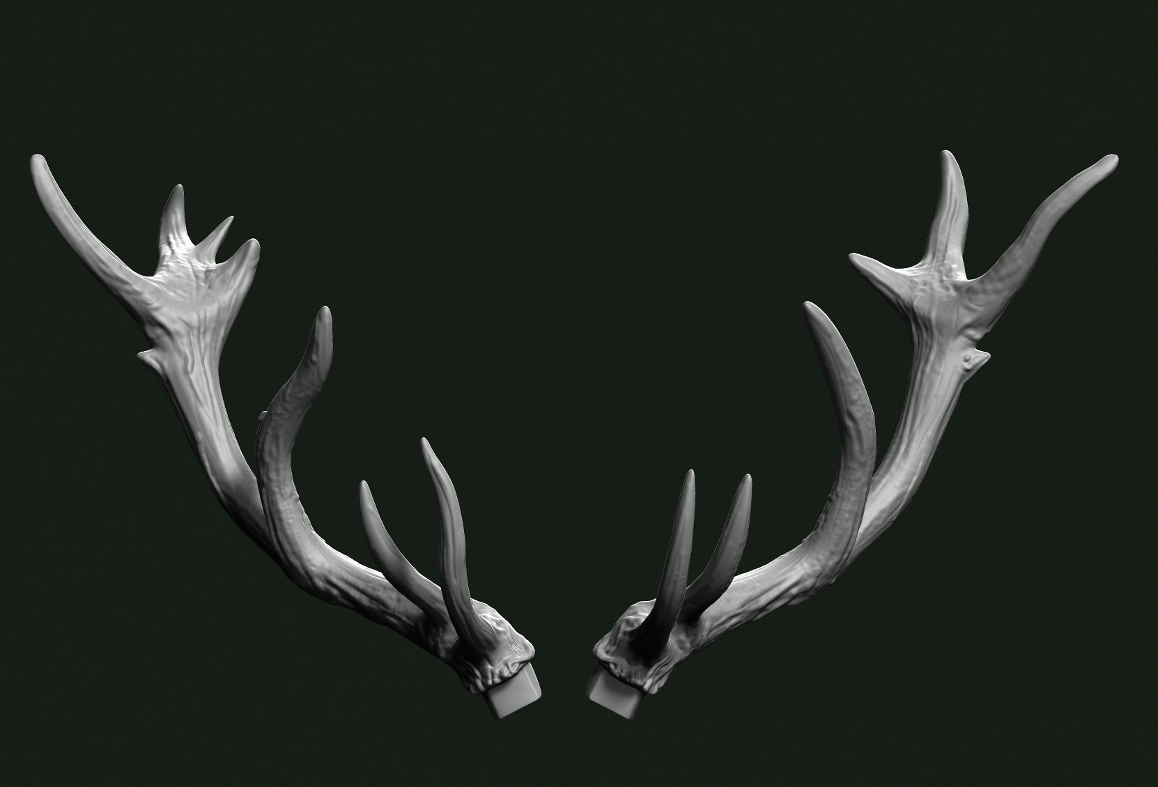 Stag head 3D print model_7