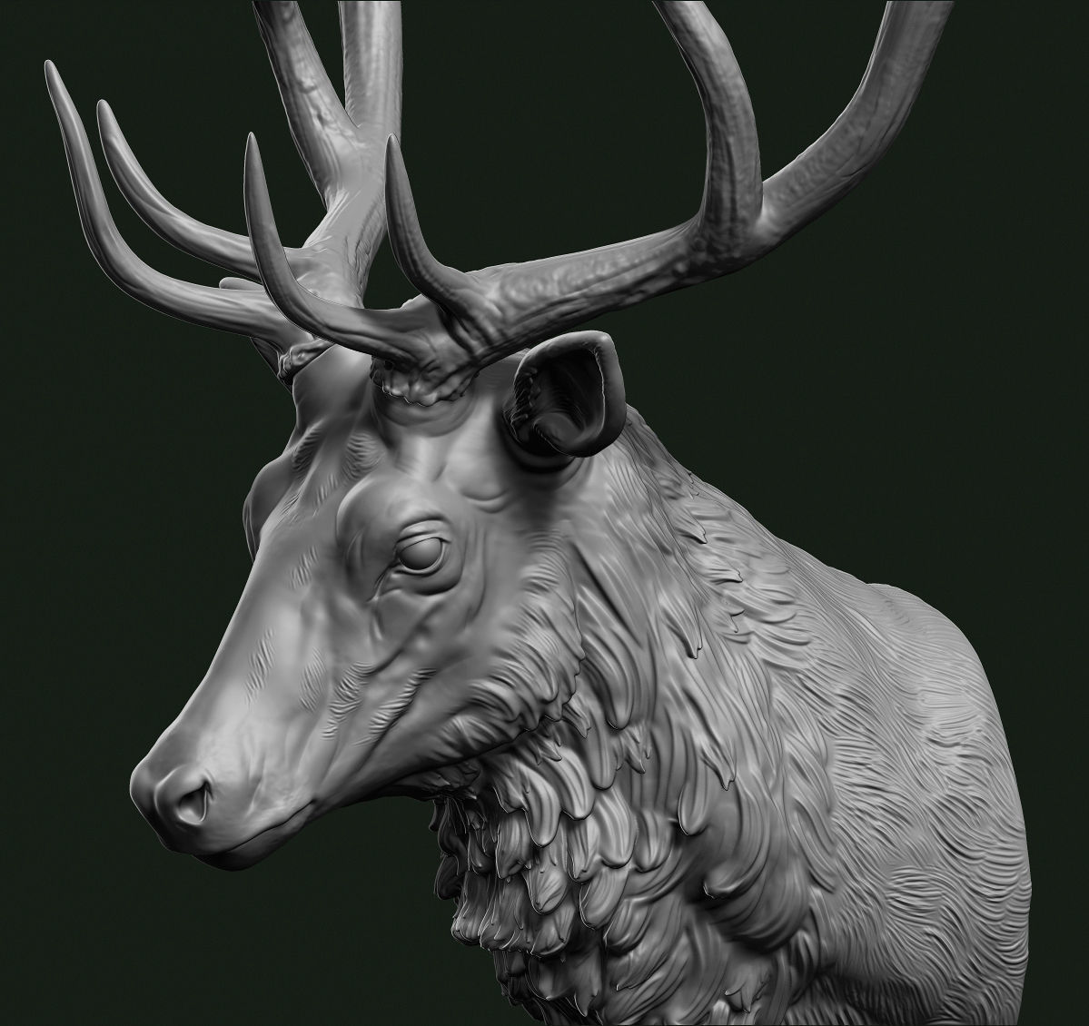 Stag head 3D print model_5