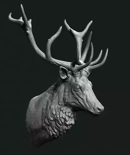 Stag head 3D print model