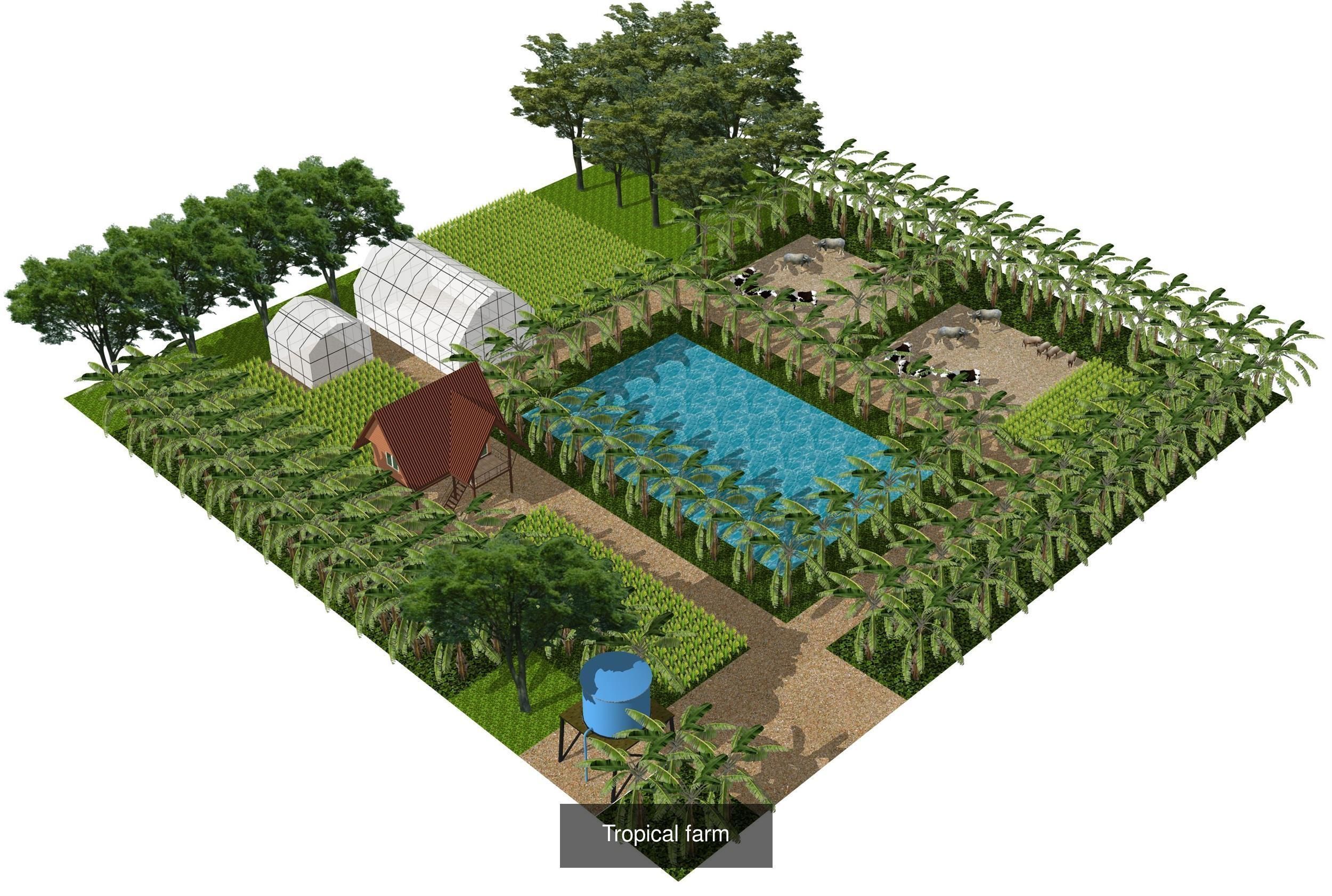 Tropical building project 3D Model Collection_8